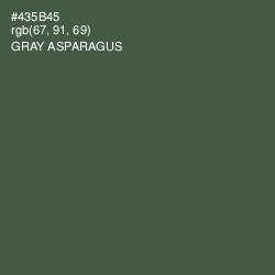 #435B45 - Gray Asparagus Color Image